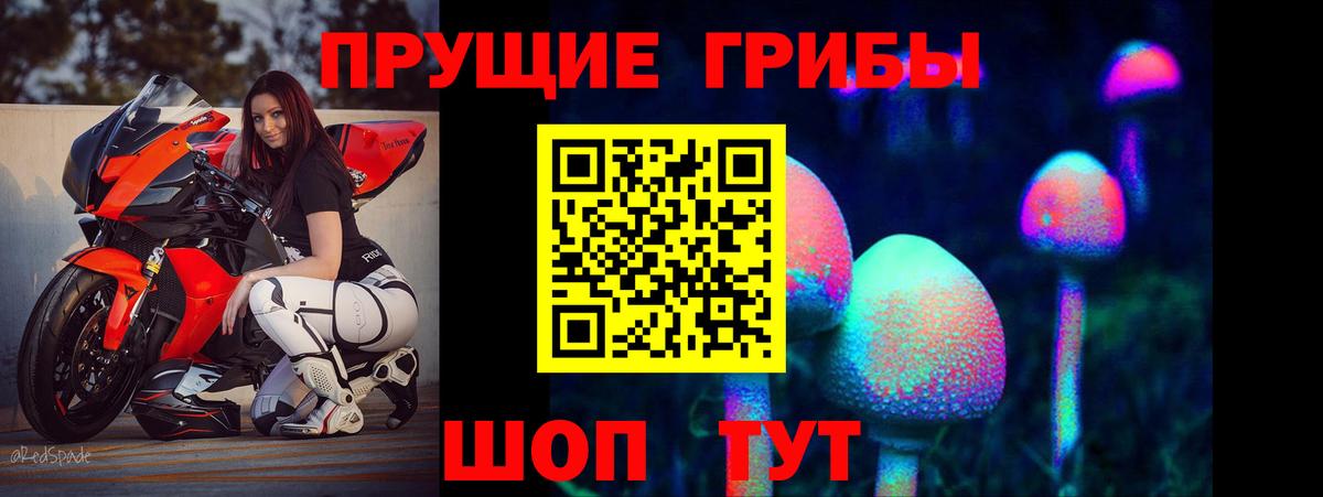 Галлюциногенные грибы мицелий  Вход с VPN  Избербаш 
